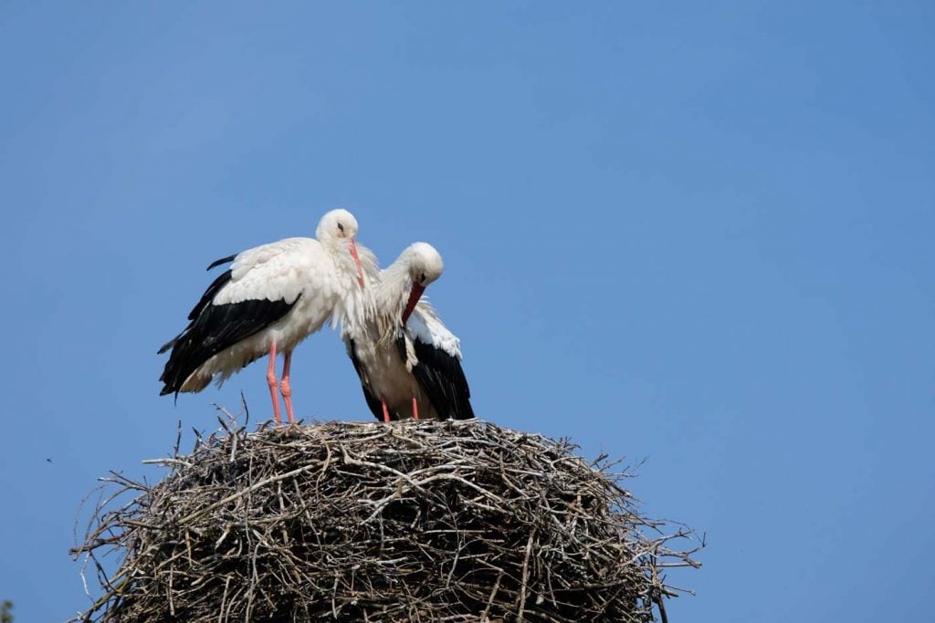 Natuurpark Lelystad