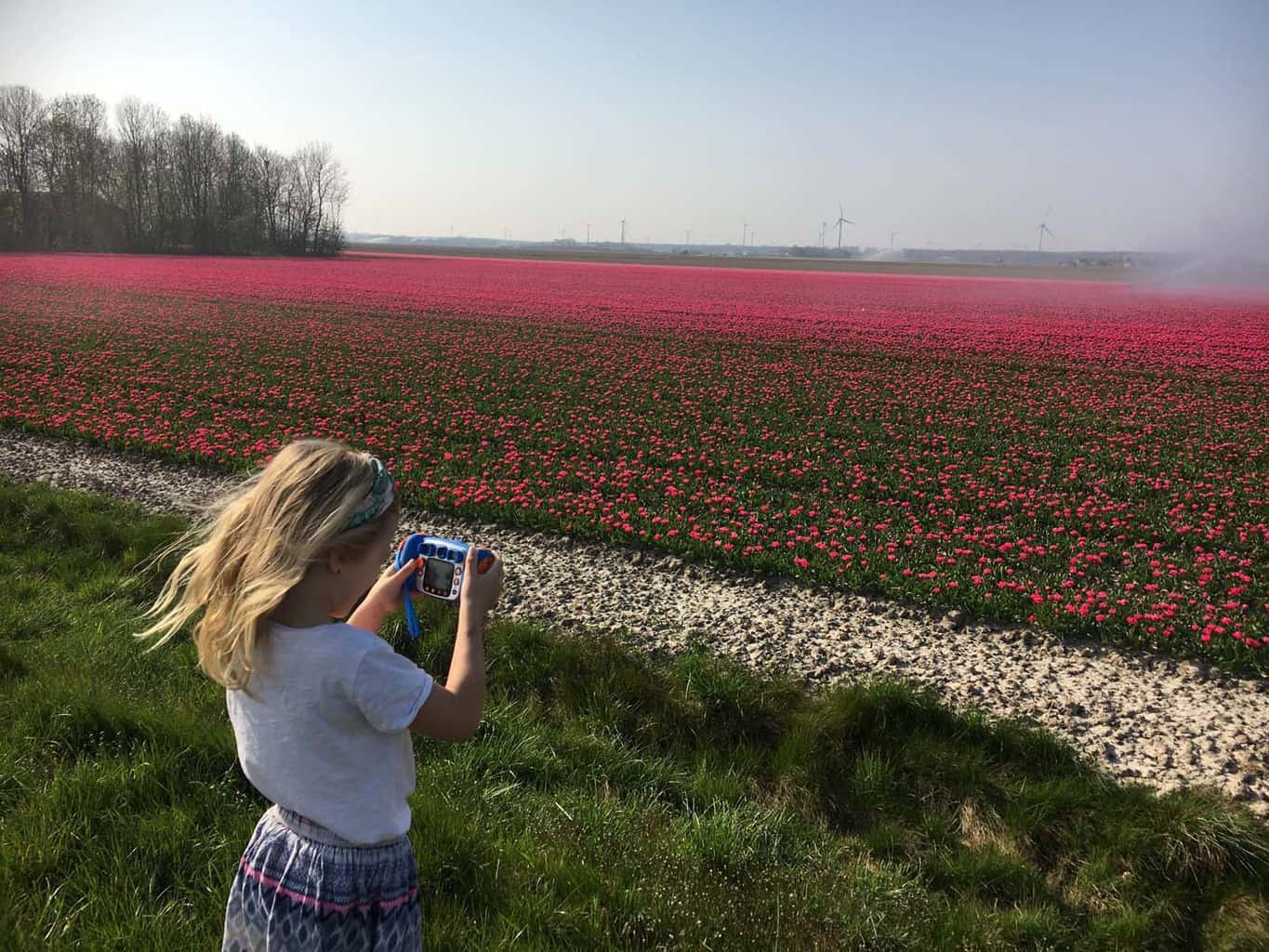 Foto bloemenvelden