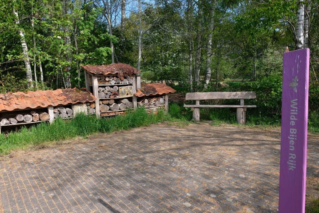 Zwerfroute Dwingelderveld