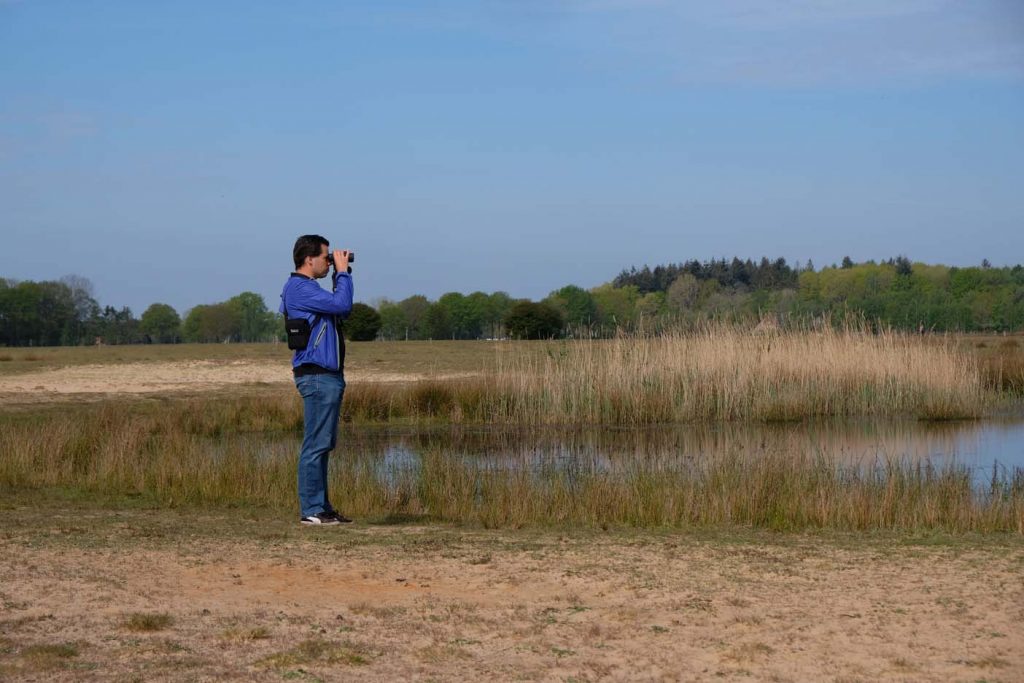 Zwerfroute Dwingelderveld