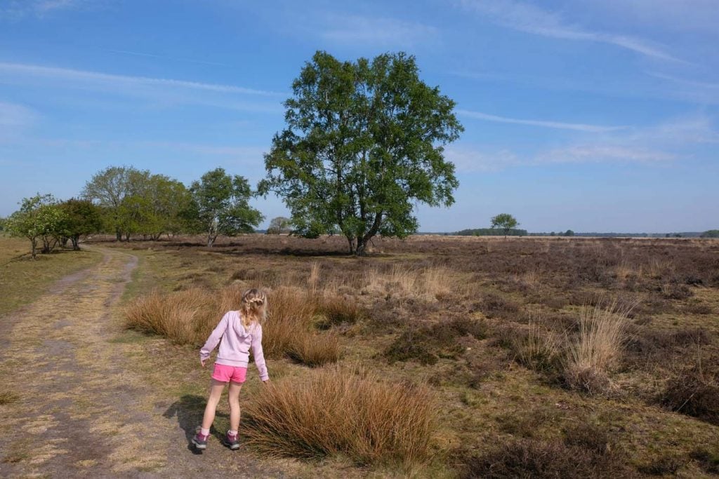 Zwerfroute Dwingelderveld