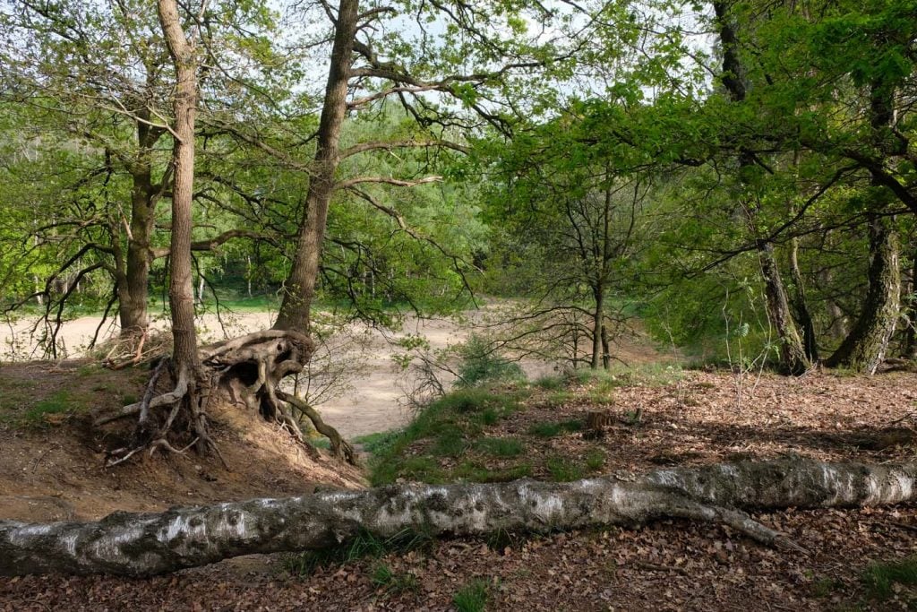 Wandelen luttenberg