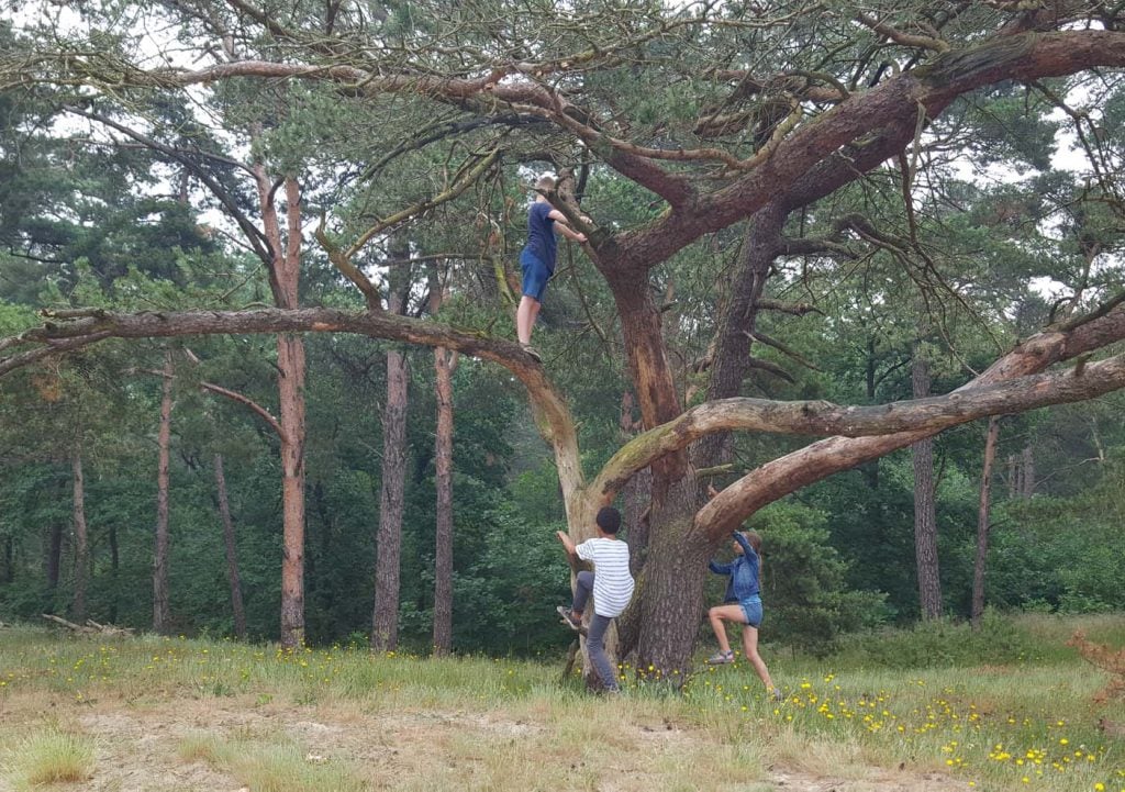 Drunendse duinen