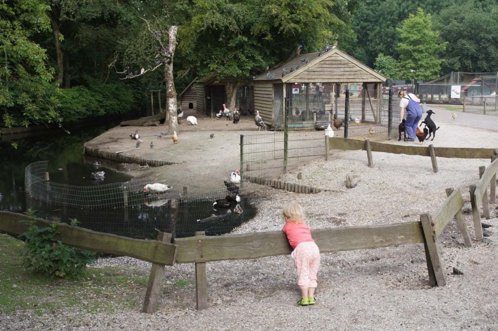 kinderboerderij stadspark groningen