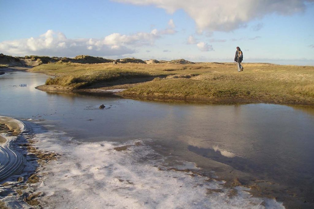 Texel 