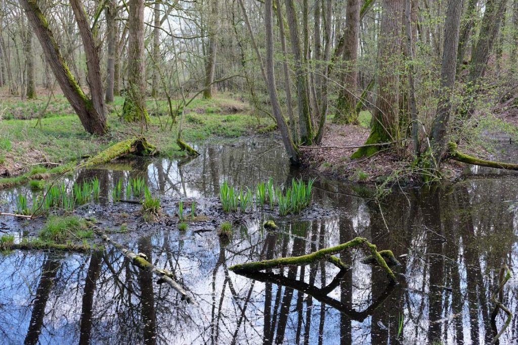 Leudal wandelen 