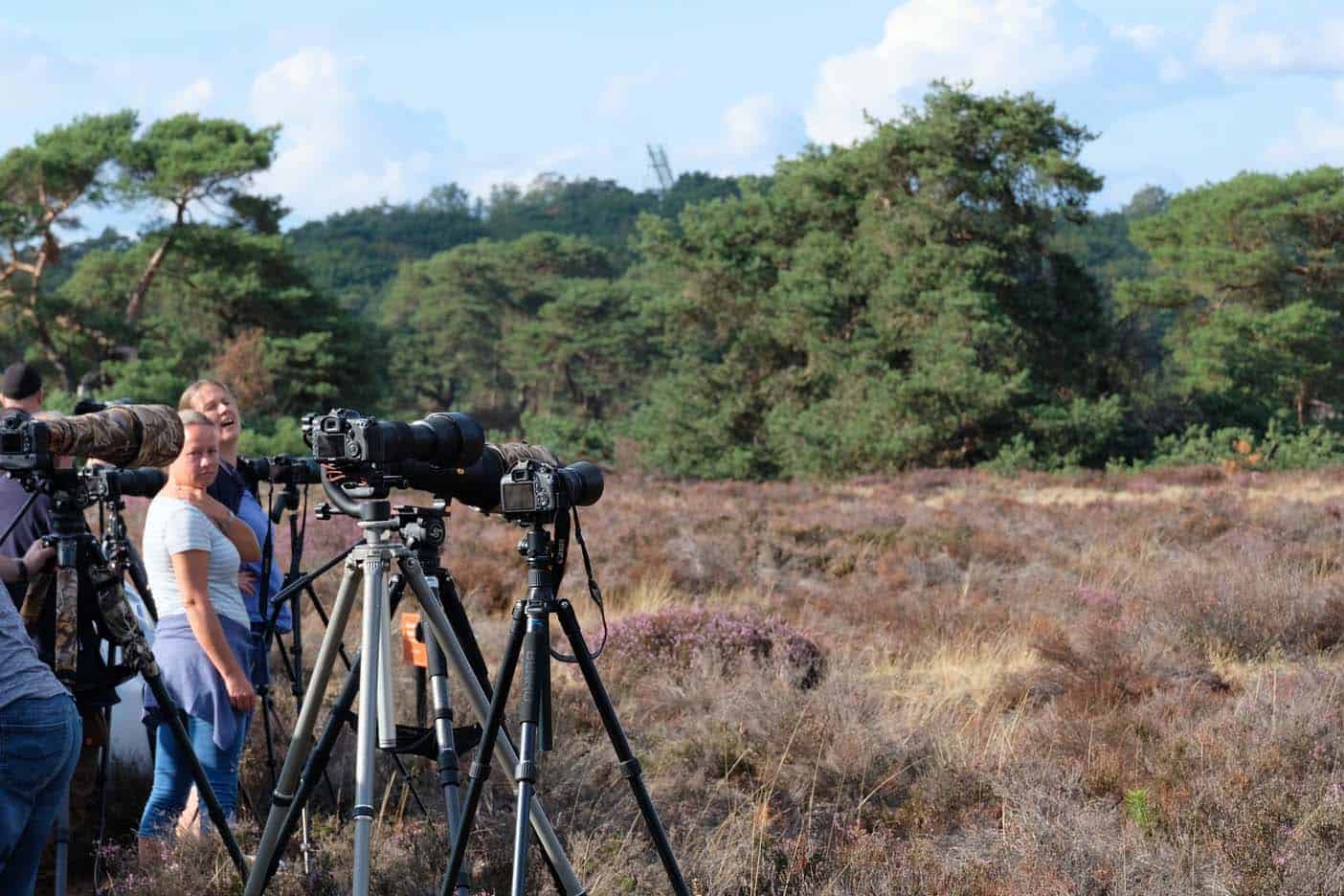 hoge veluwe