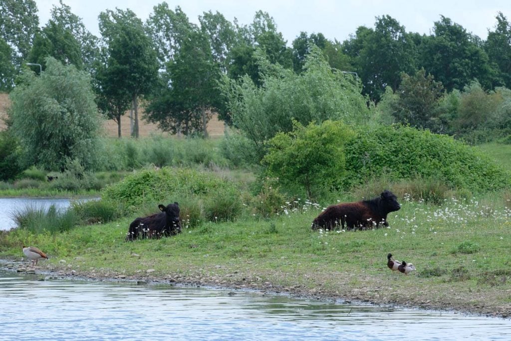 Hompesche molen wandelen