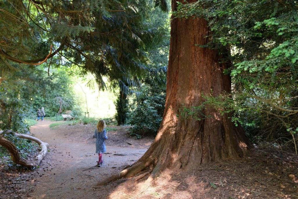 Wandelen op Landgoed Schovenhorst