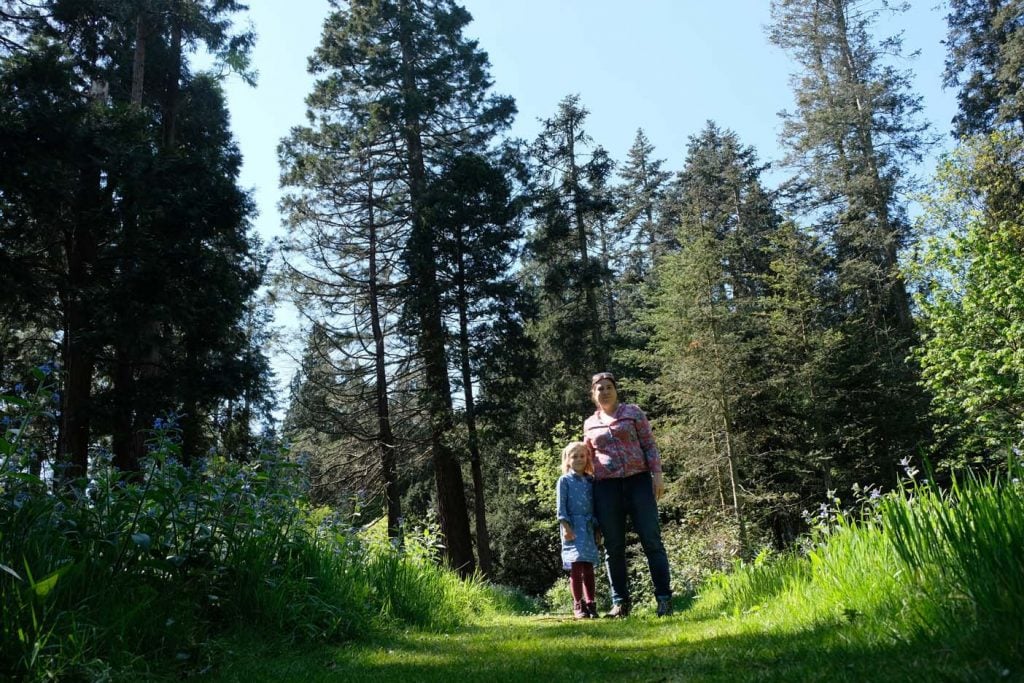 Wandelen op Landgoed Schovenhorst