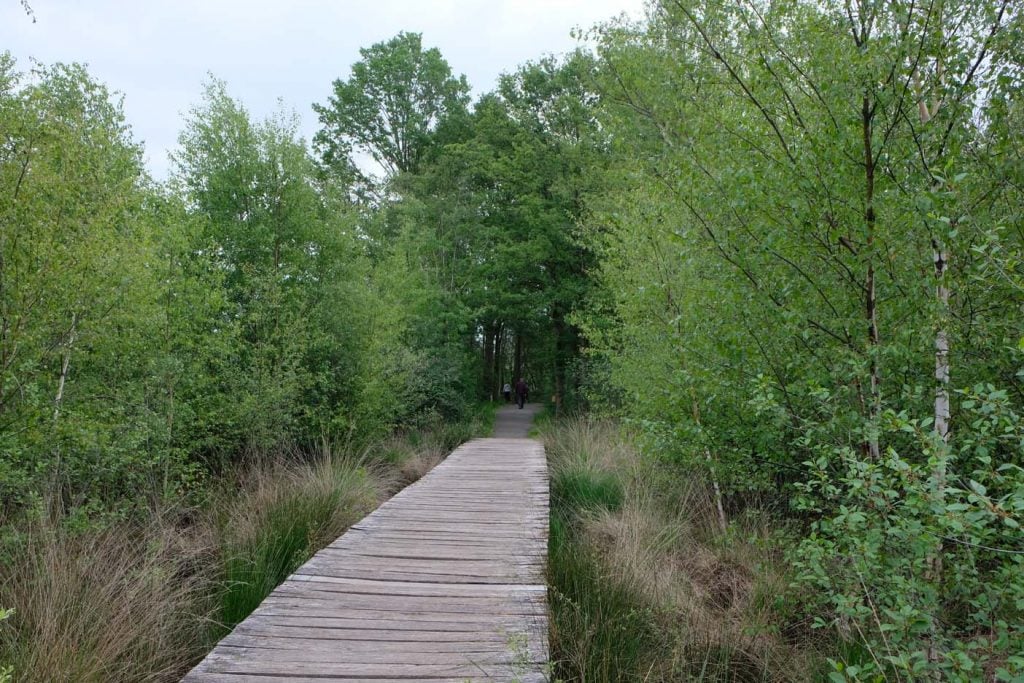 nationaal park de grote peel