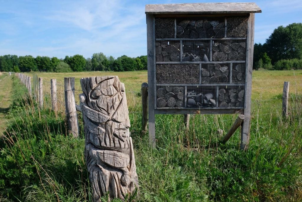 Bomen Kunst Sculpturen route