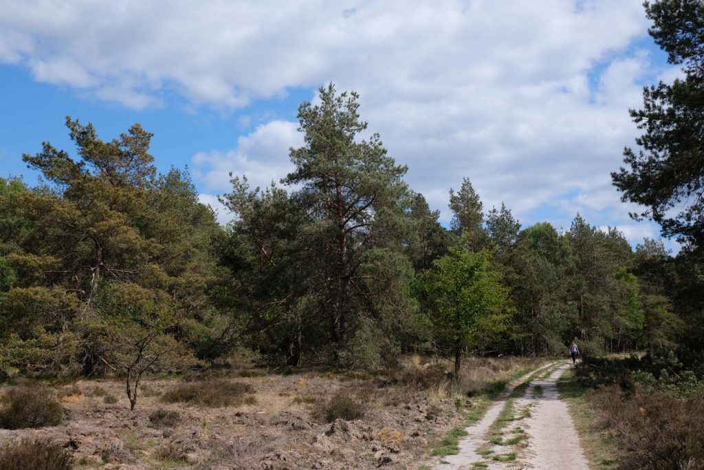 Wandelen stakenberg tijdkijkpad 