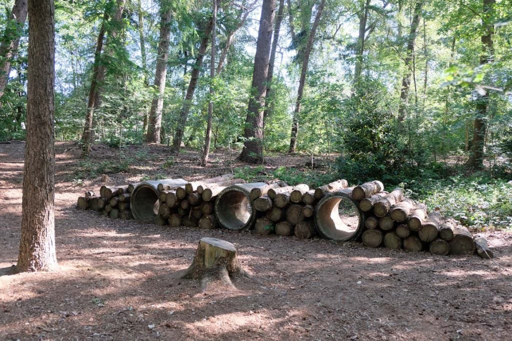 belevingsbos kerkenveld