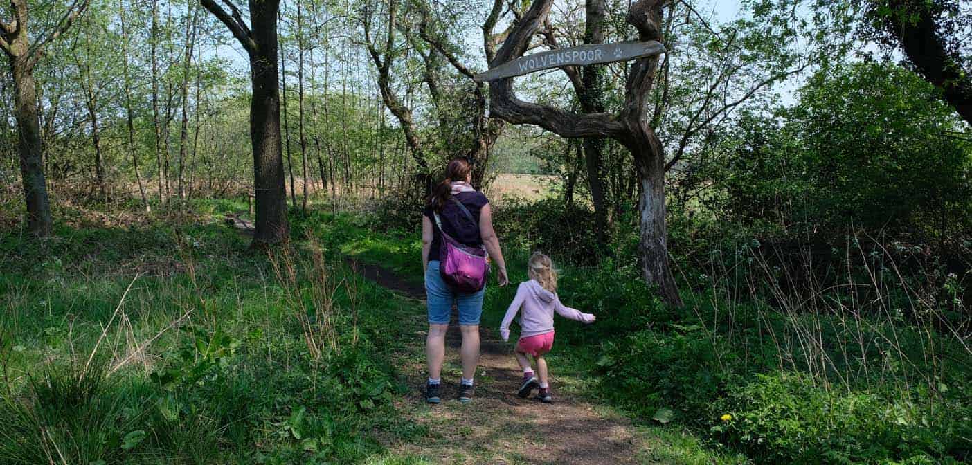 Wandelroute Wolvenspoor, 5km door het hart van Drenthe