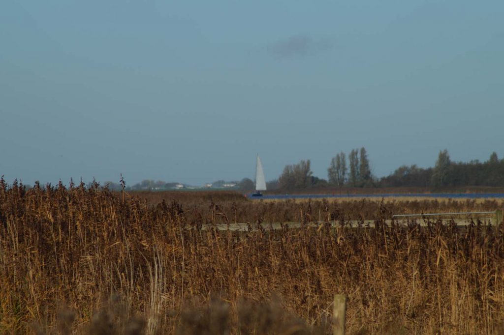 lauwersmeer