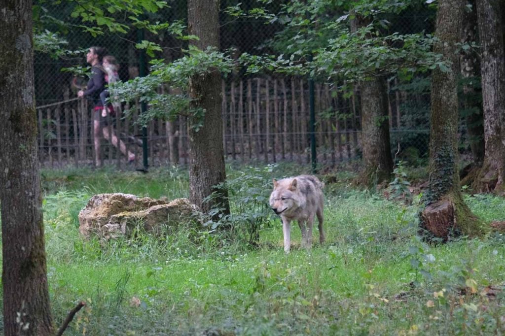 Het wildpark van Han