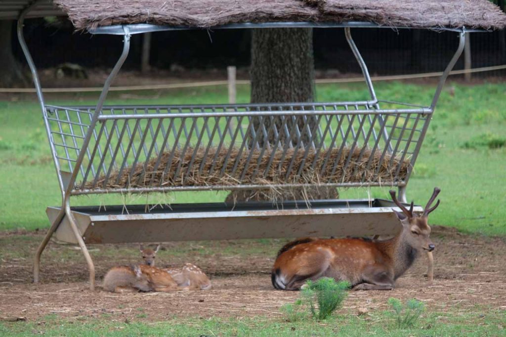 Het wildpark van Han