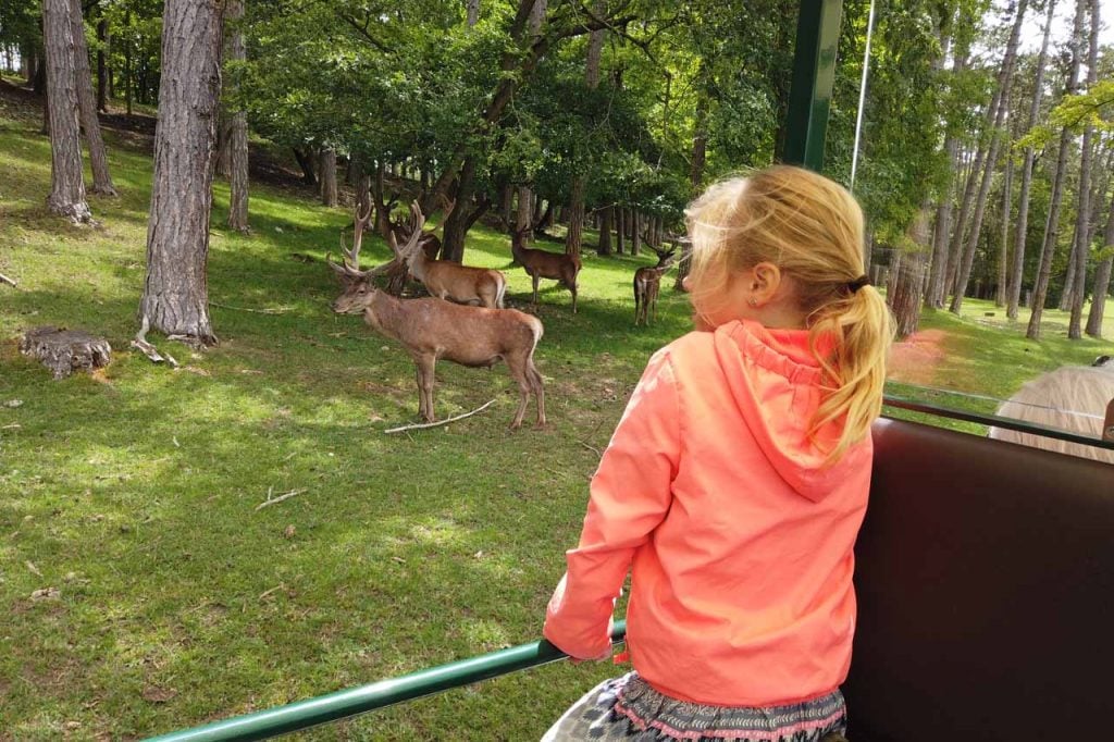 Het wildpark van Han