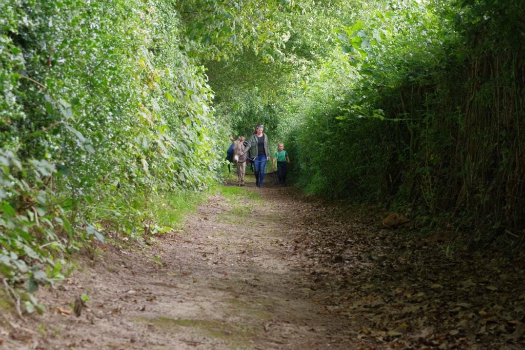 wandelen met een ezel 