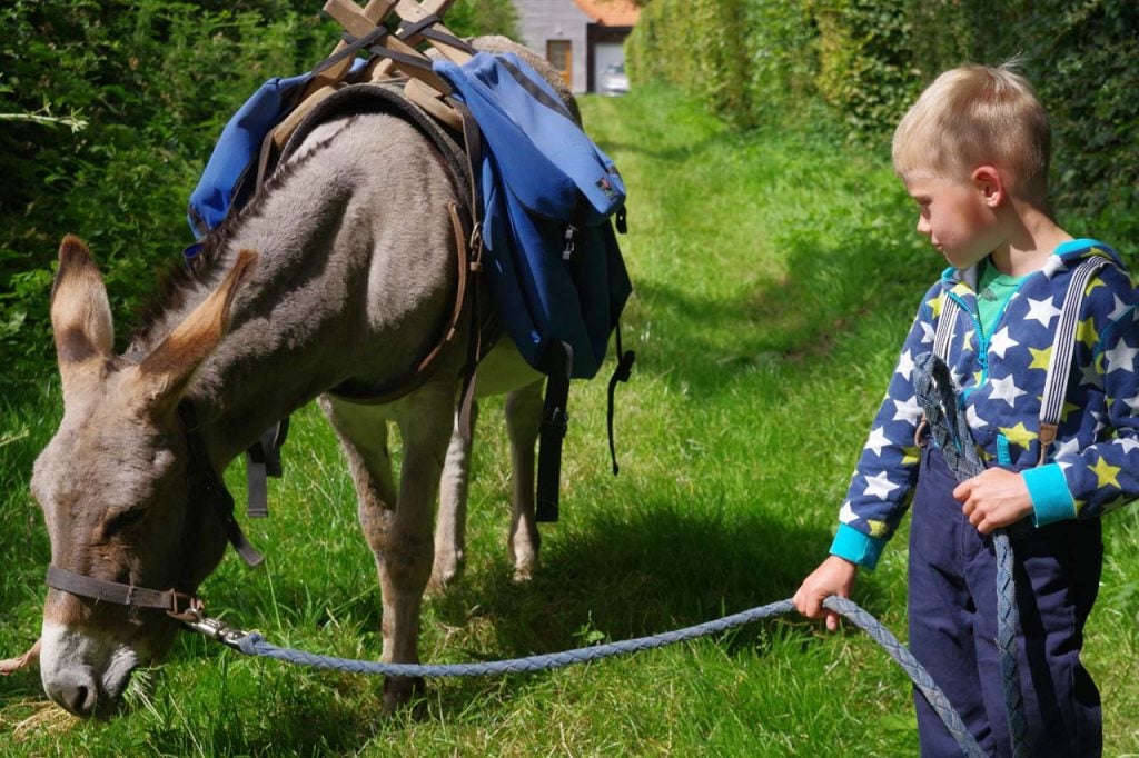 wandelen met een ezel 