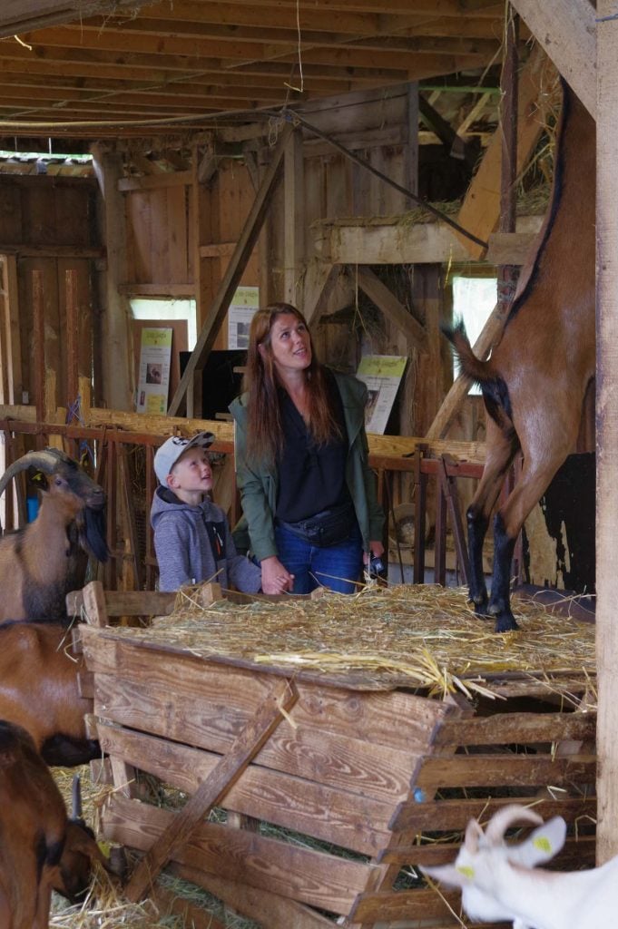 geitenboerderij La Halte d'Autrefois in Hesmond