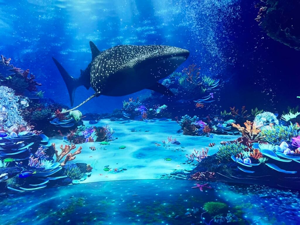 sea life