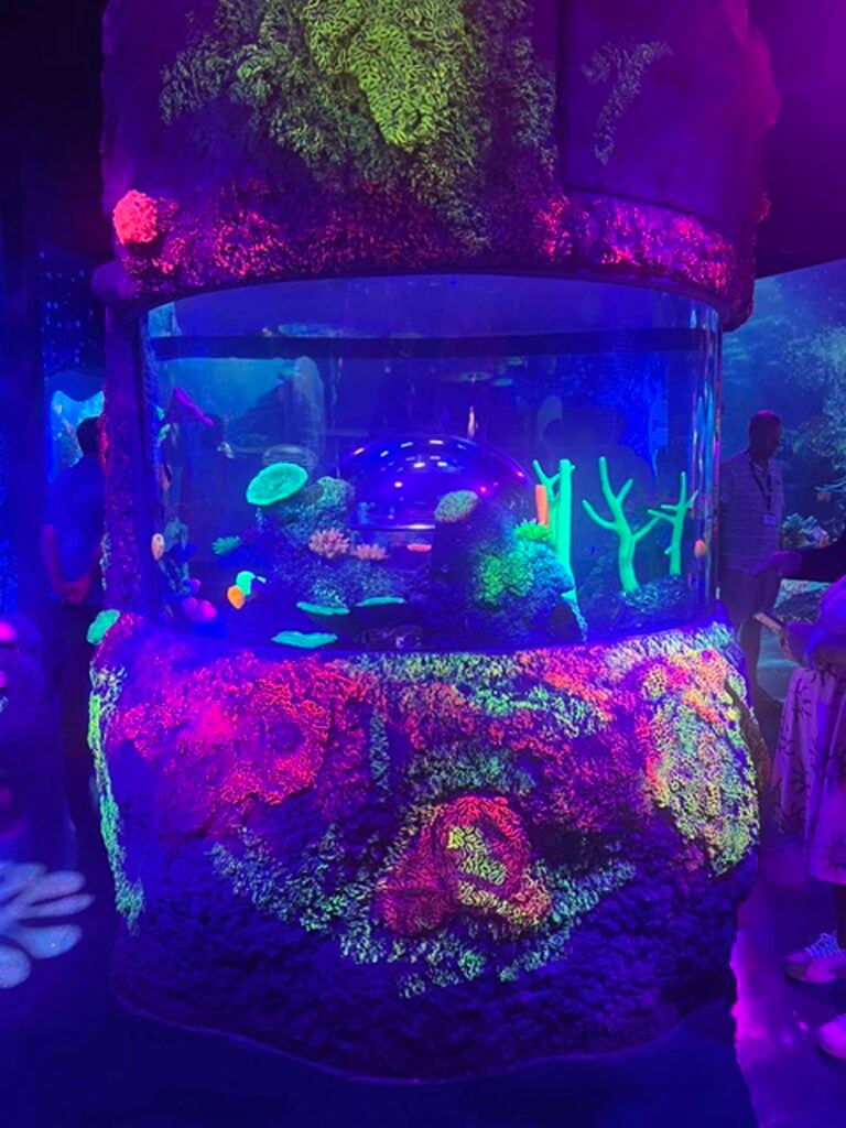 sea life
