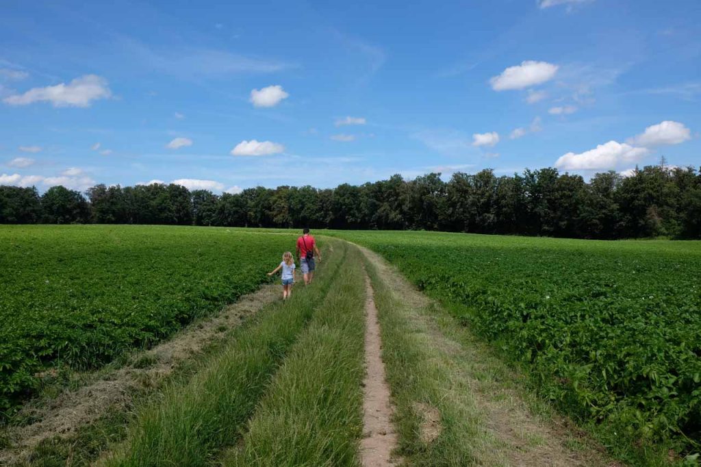 Gorges de Gottéron wandeling