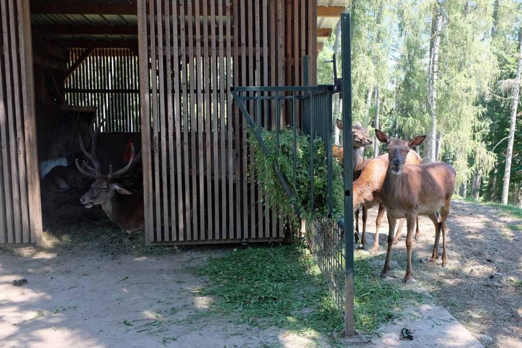 Parc Animalier de la Grande Jeanne