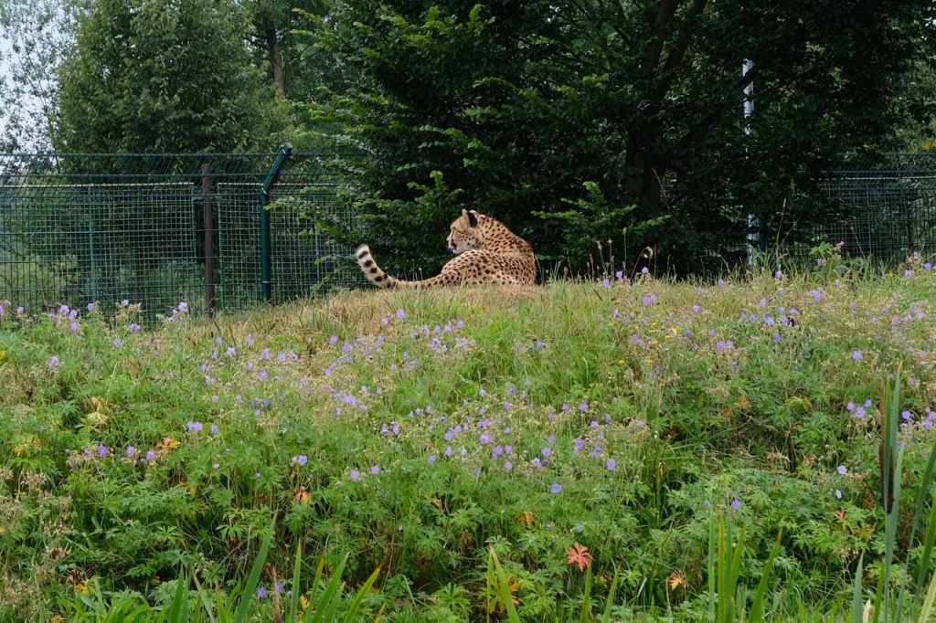 Pilsen dierentuin