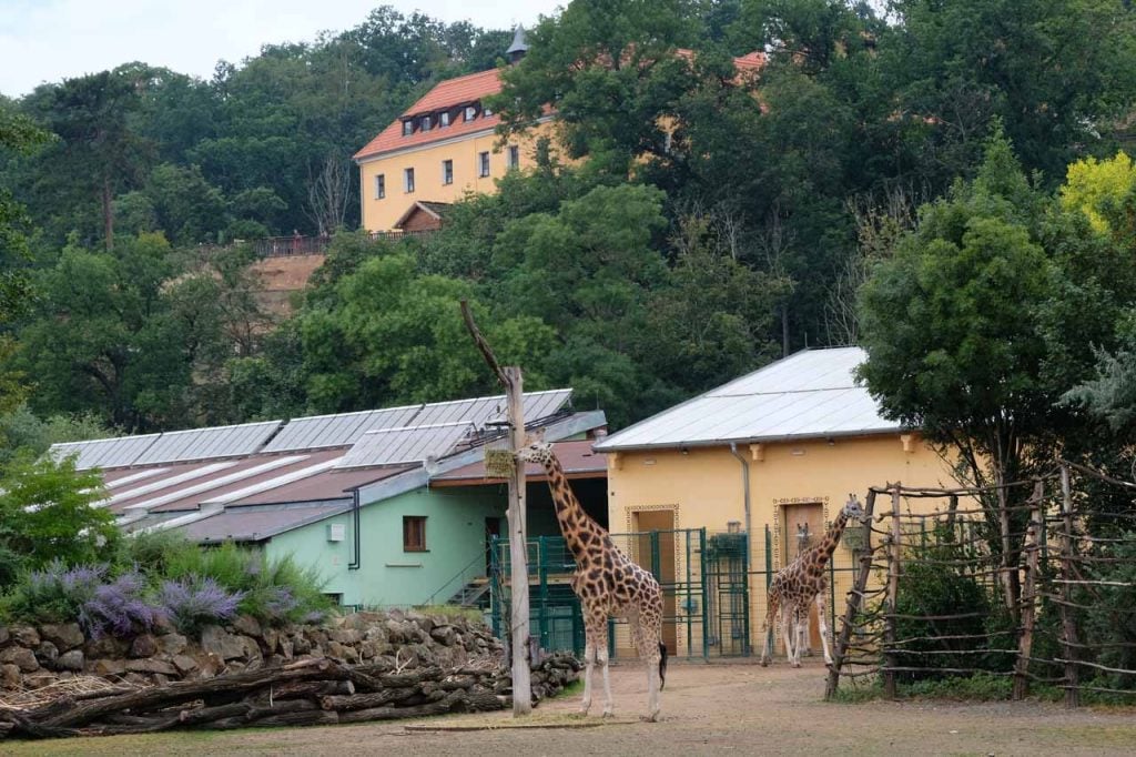 Pilsen dierentuin