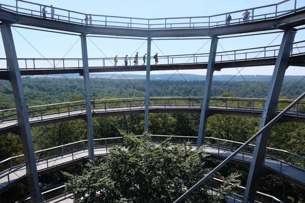 Boomkroonpad Broomkroonpad steigerwald