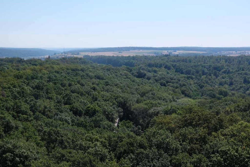 Boomkroonpad steigerwald