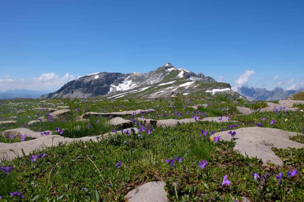 Désert de Platé