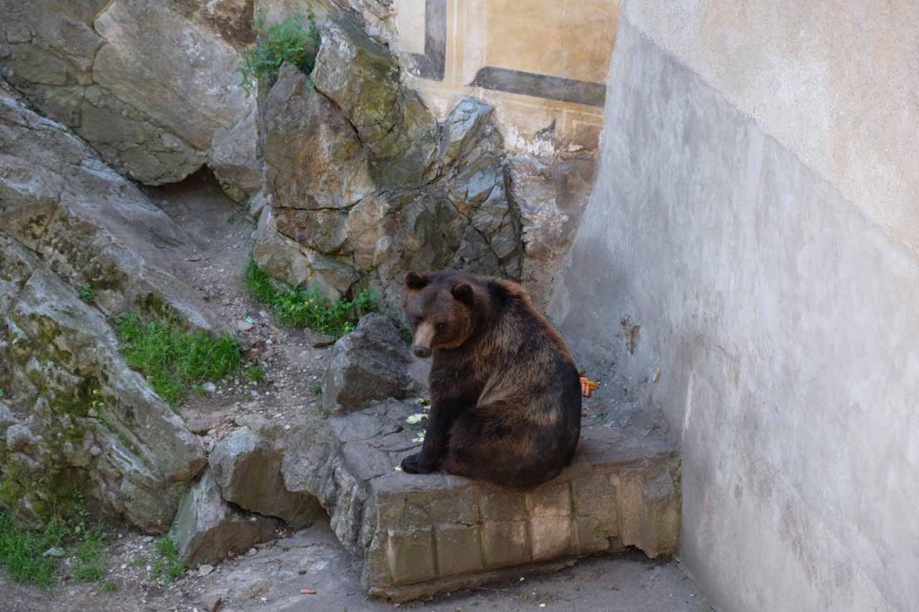 Berenkuil Cesky Krumlov