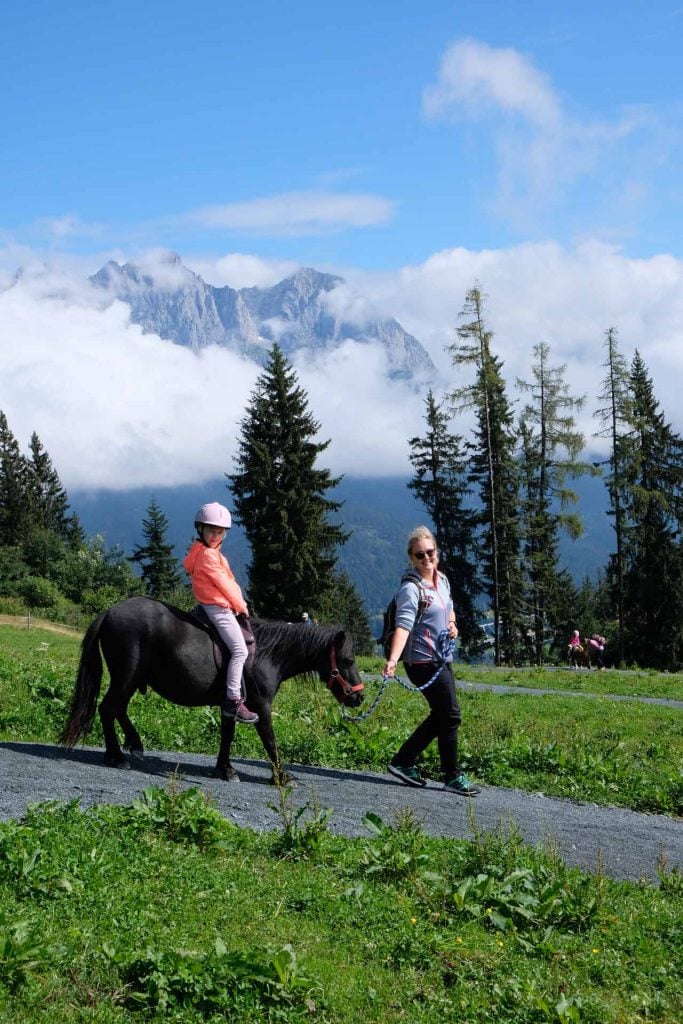 Pony Alm Wilder Kaiser