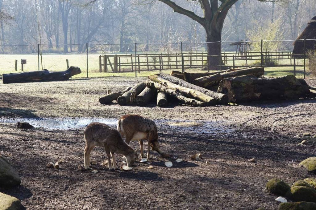 Het Bürgerpark bremen