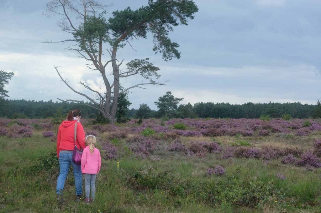 Radio Kootwijk wandelen