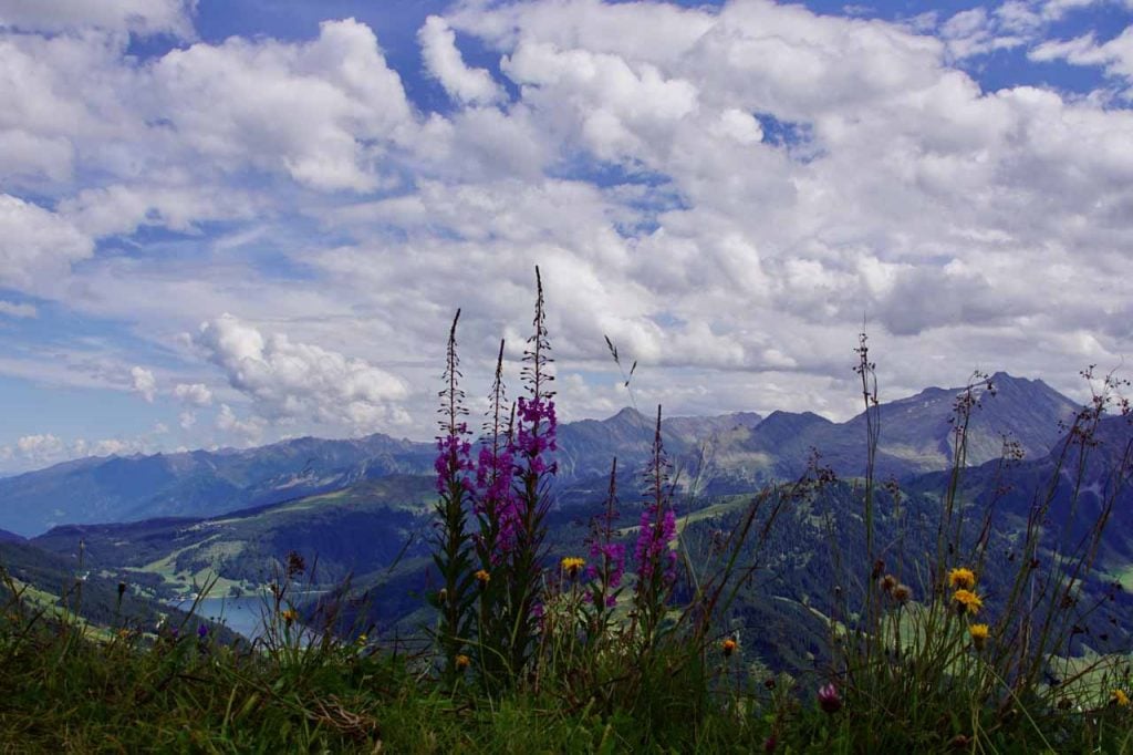 Isskogel zillertal