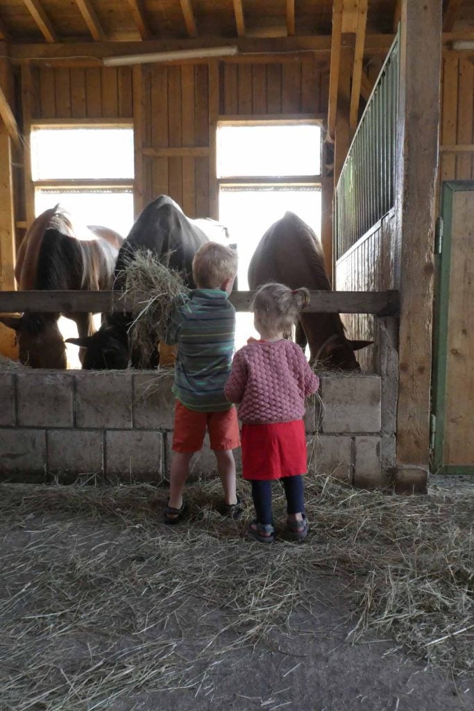 Schmallenberger kinderland