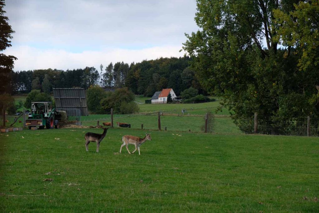 Waldkurpark Bad Iburg