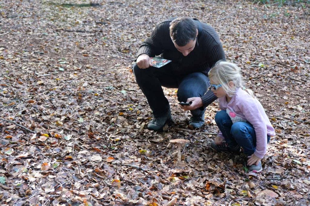 Paddenstoelenwandeling kinderen