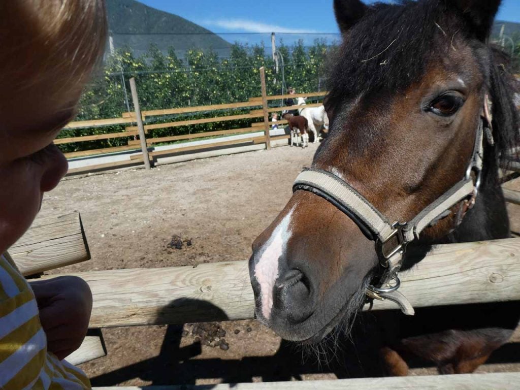 Rode Haan boerderij in Zuid-Tirol