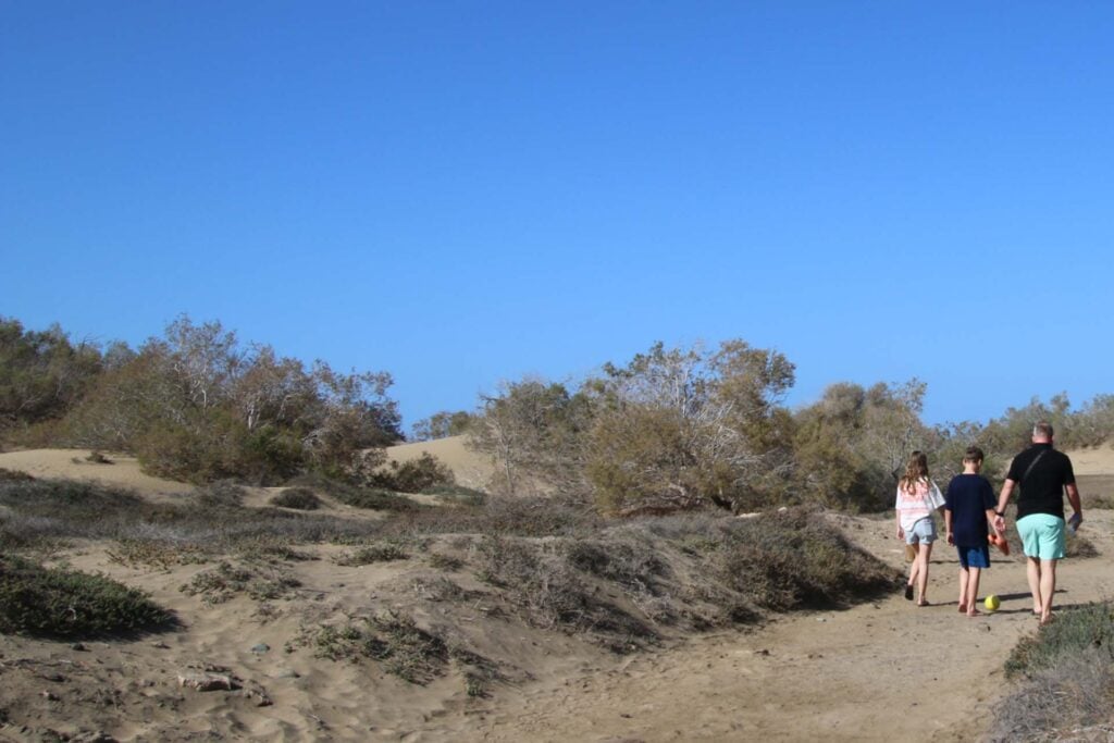 De duinen van Maspalomas