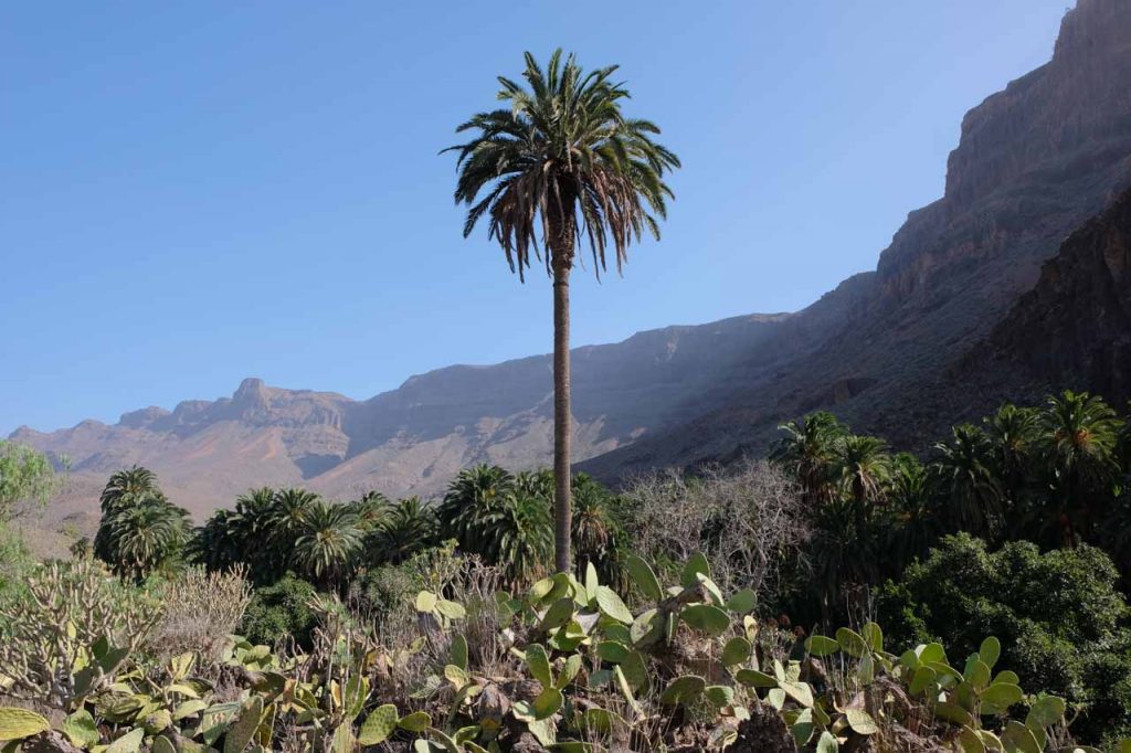 Gran canaria
