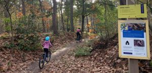 mountainbike loonse drunense duinen