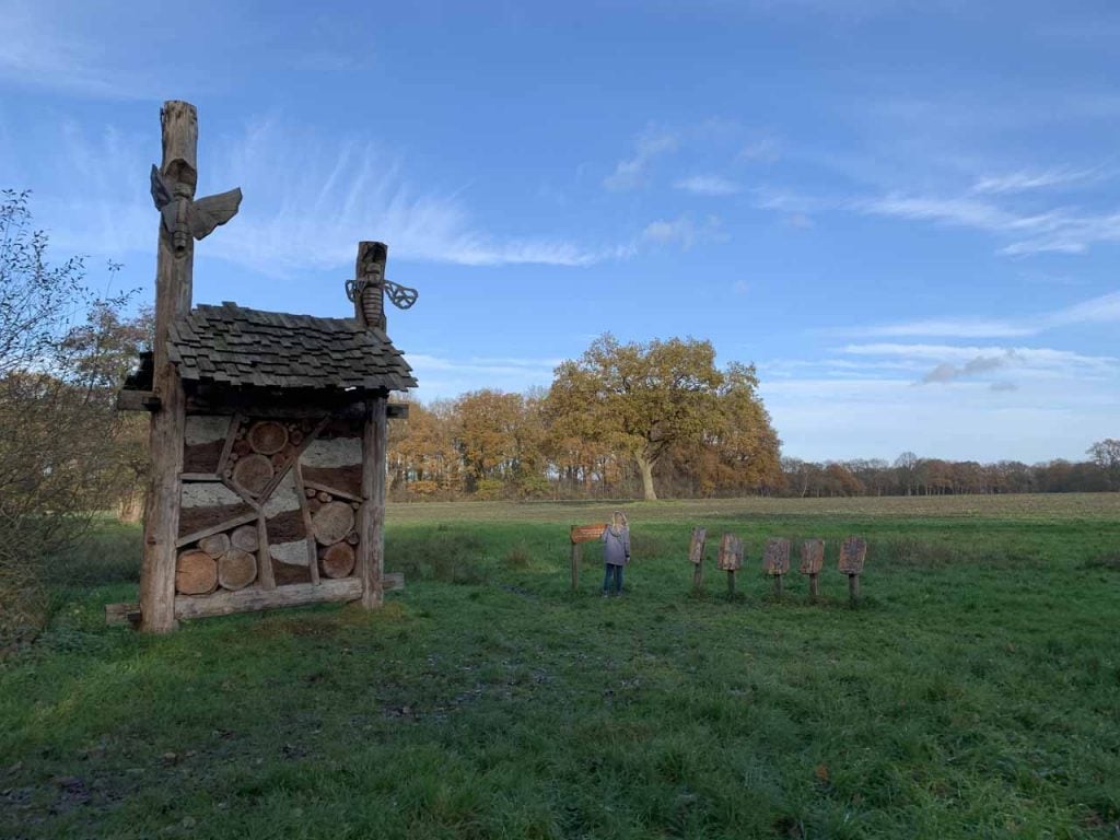 Het houten pad van Theodoor