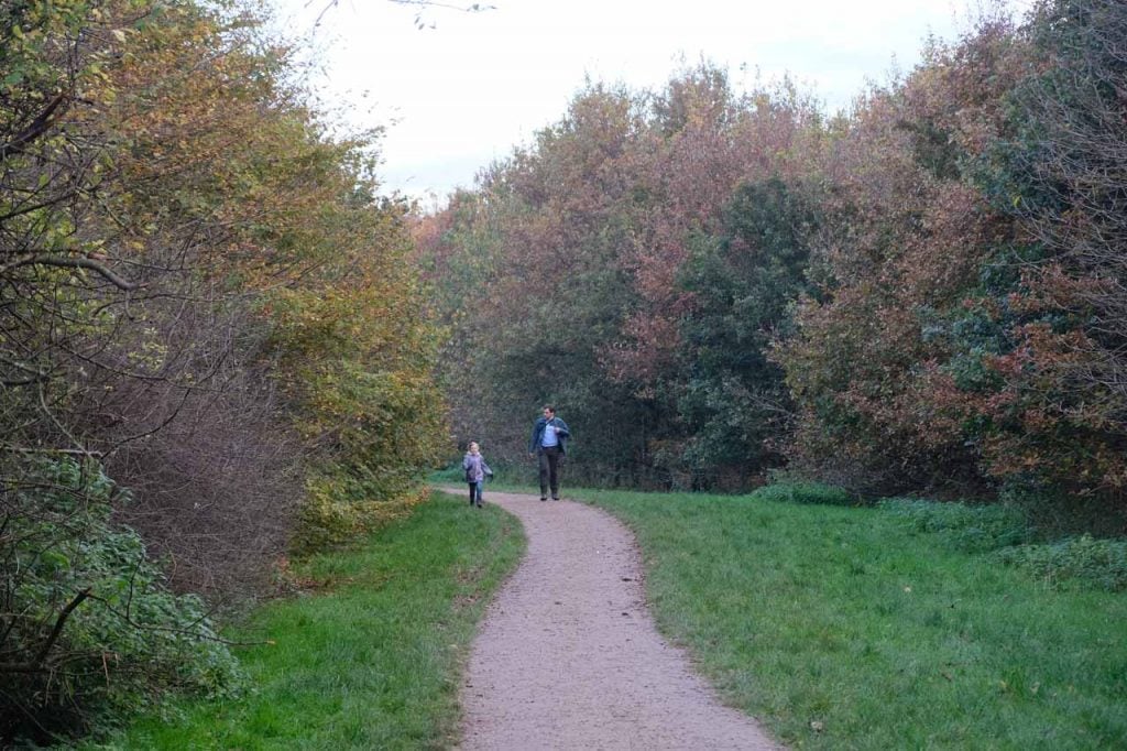 speelbos Nieuwe Wulven