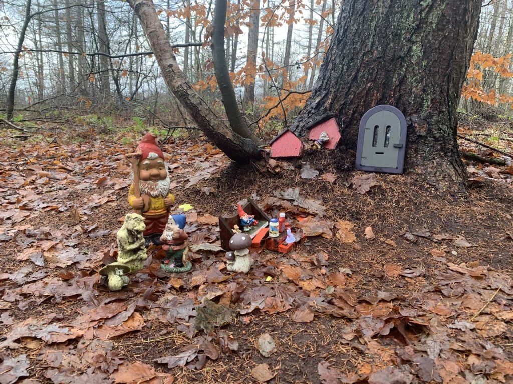 Het Mysterieuze Kabouterbos Van Klarenbeek - Gezin Op Reis